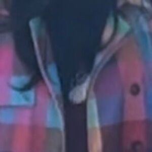 2 coats. Check is new wore to film a movie.#2 never wore was 2nd choice.